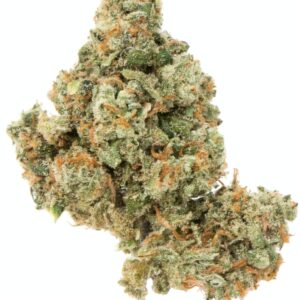 jack herer strain Strain for sale