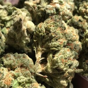 Blue Cheese Marijuana Strain for sale