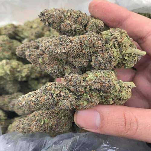 buy marijuana online uk