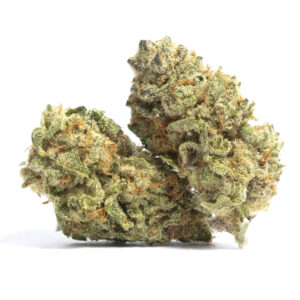 Skunk #1 Marijuana Strain for sale