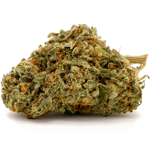 best sativa strains for energy