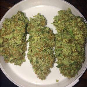 CBD Skunk Haze Marijuana Strain for sale