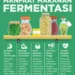 makanan fermentasi untuk kesehatan