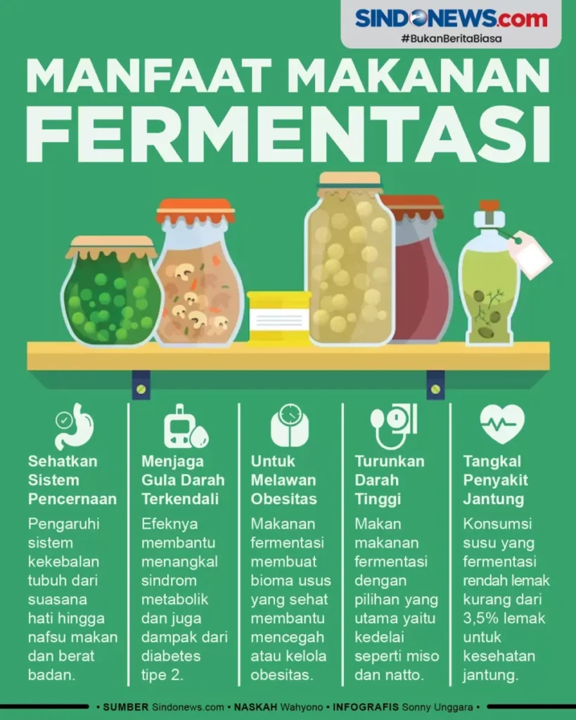 makanan fermentasi untuk kesehatan