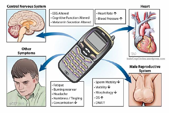 dampak radiasi handphone