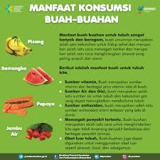 buah-buahan yang baik untuk tubuh manusia