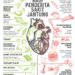 makanan yang mendukung kesehatan jantung