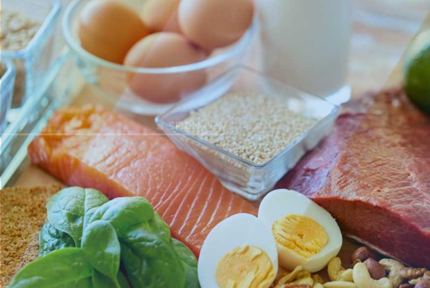 makanan tinggi protein untuk fat loss