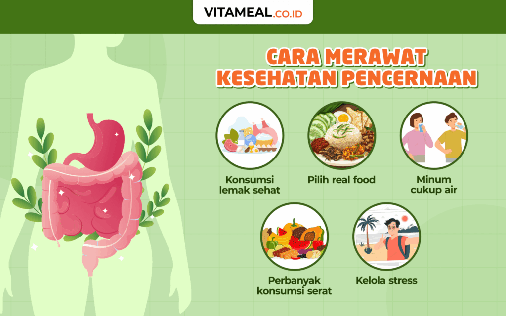 ciri usus sehat