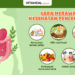 ciri usus sehat