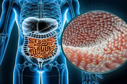 mikrobioma usus dan kesehatan mental