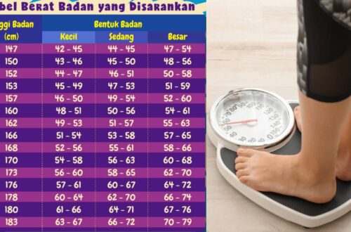 berat badan ideal