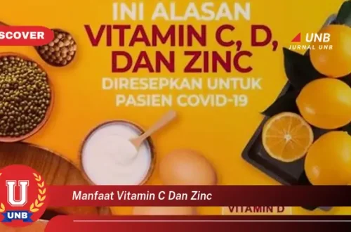 Fungsi vitamin C D dan Zinc