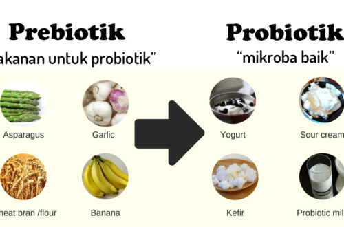 makanan probiotik alami vs suplemen
