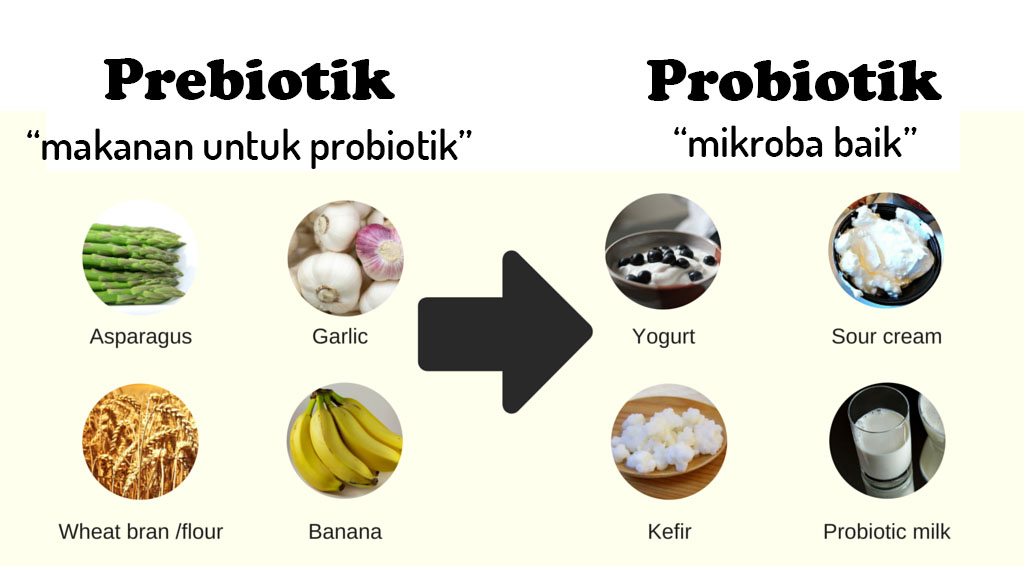 makanan probiotik alami vs suplemen