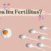 Faktor Gaya Hidup yang Mempengaruhi Fertilitas Wanita