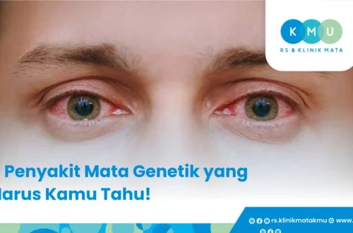pencegahan penyakit genetik