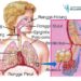 pernapasan hidung untuk kesehatan paru-paru