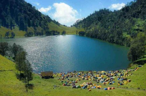 Menonton Alam Liar Menurunkan Hormon Stres