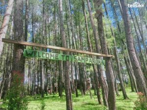 efek bau alam