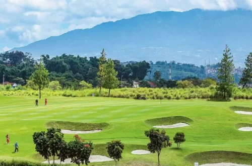 Warna Alam Hijau Mengurangi Kecemasan